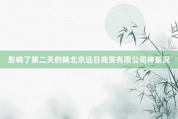 影响了第二天的精北京远日商贸有限公司神景况